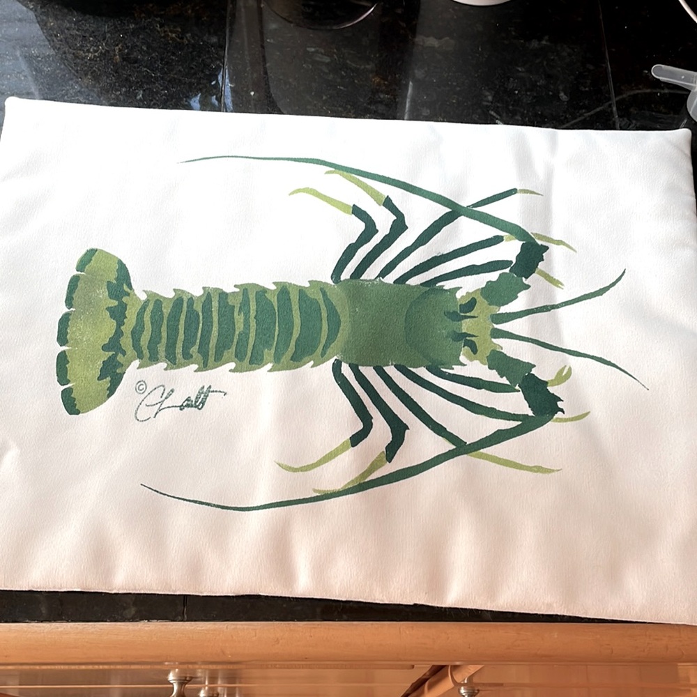 NEW Crabby Chris & Co Indoor/outdoor Pillow Cover